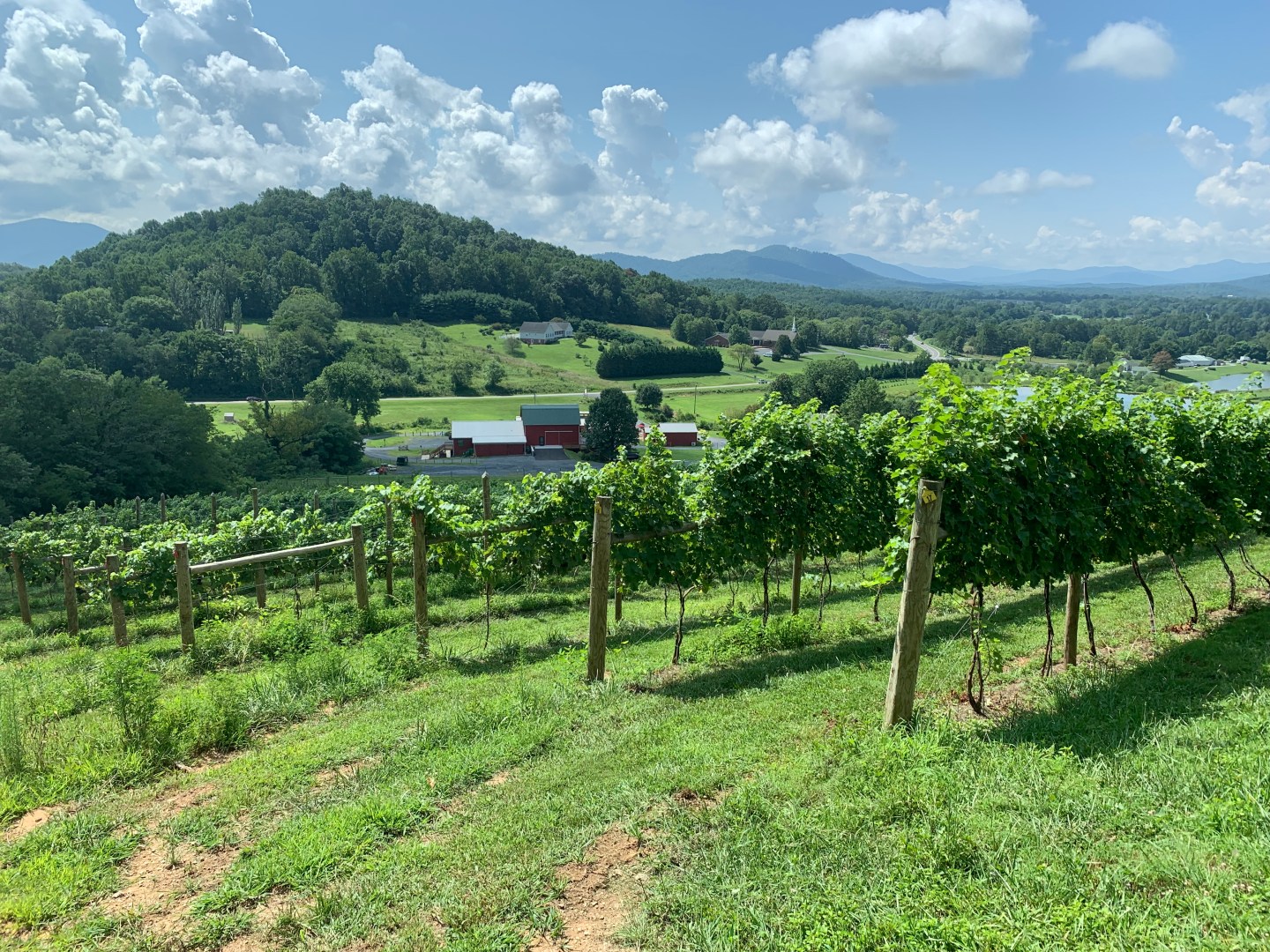 The 2020 Virginia Wine Year In Review | Wine Trails and Wanderlust